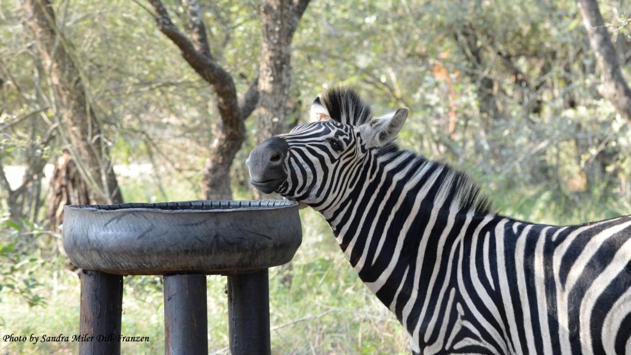 Ubuntu Bed&Breakfast Marloth Park Exterior foto